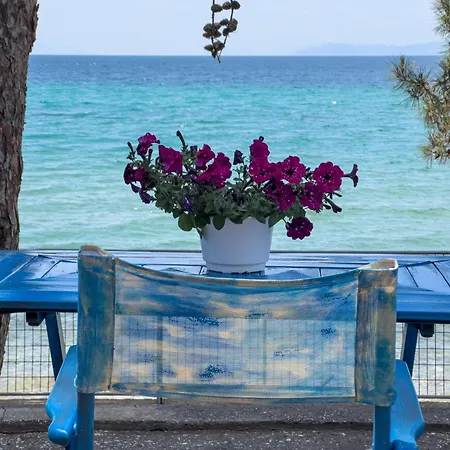 Pine House Σπίτι διακοπών