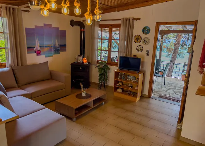 Feriehus Pine House *