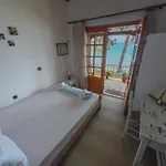 Pine House Holiday home *