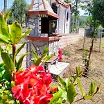 Holiday home Pine House Skala Kallirakhis