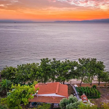 Case de vacanță Pine House